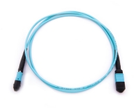 Reachoptics MPO/MTP Patchcord